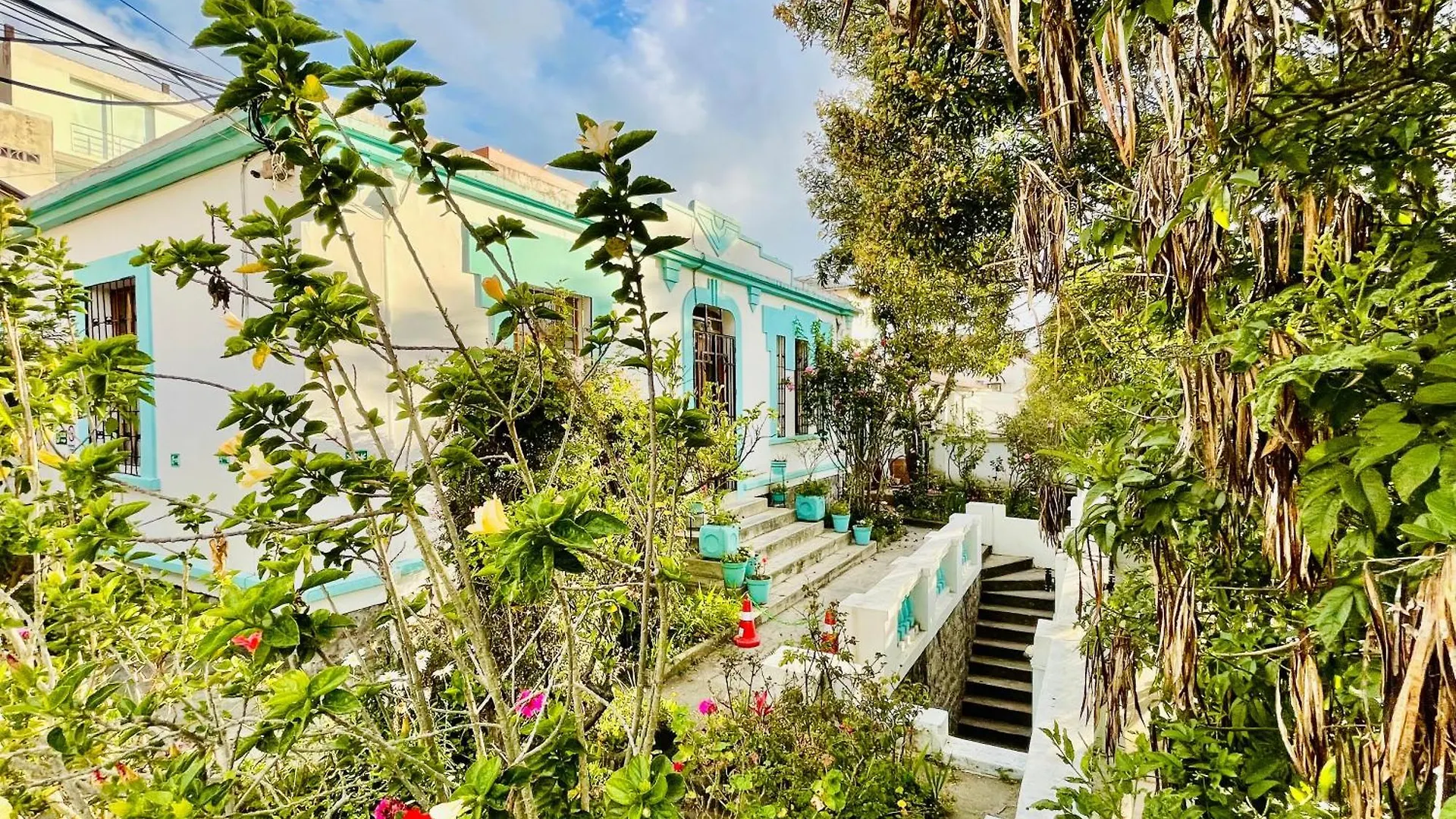 Clover House Quito